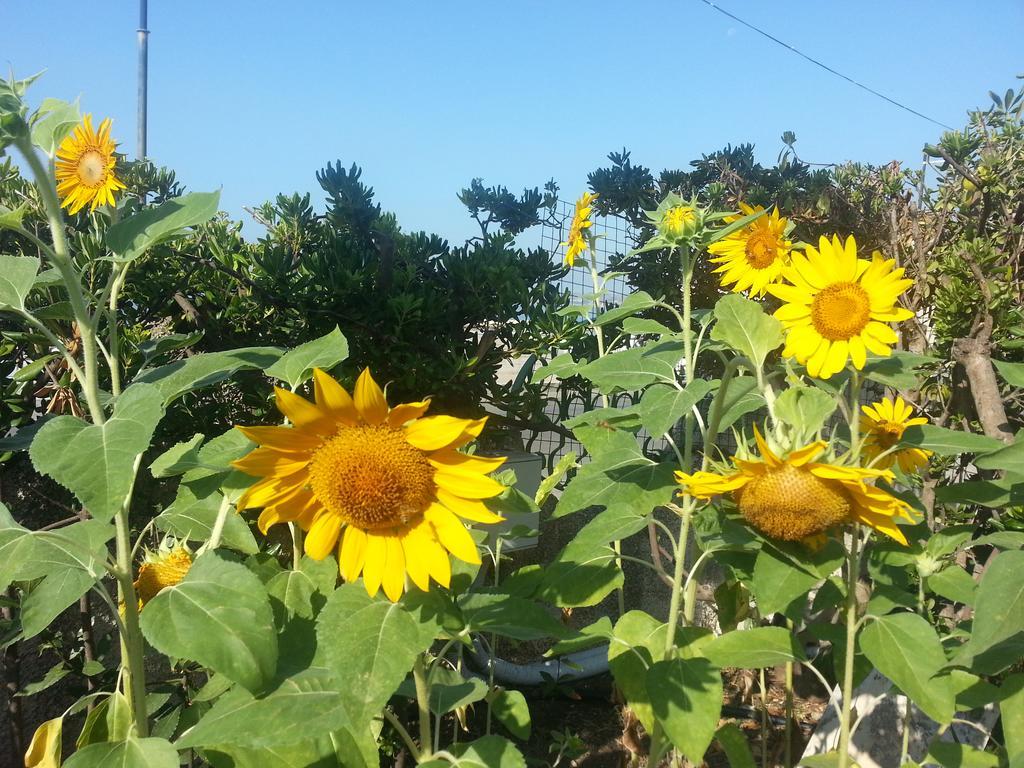 Il Girasole Formia Guesthouse Rooms Bagian luar foto