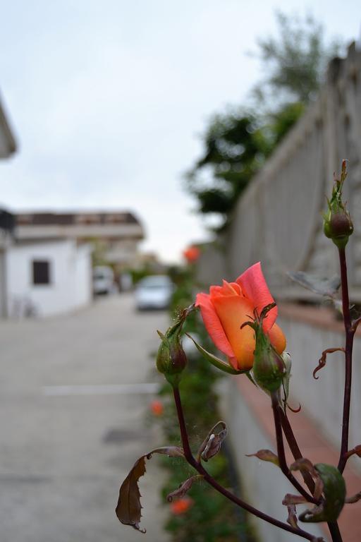 Il Girasole Formia Guesthouse Rooms Bagian luar foto