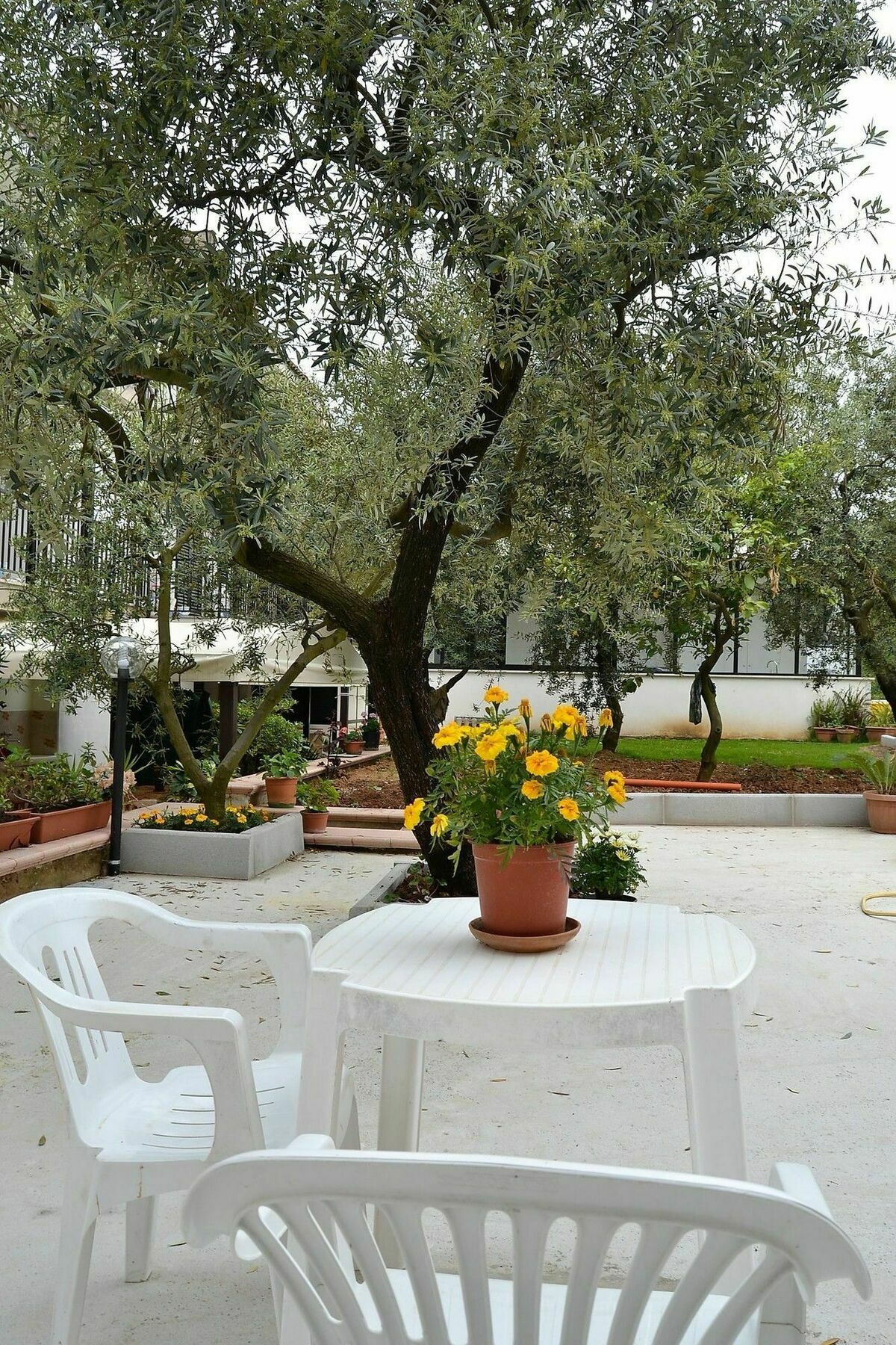 Il Girasole Formia Guesthouse Rooms Bagian luar foto